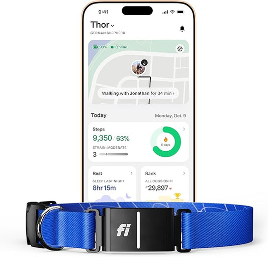 Fi New Series 3+ Smart Dog Tracker Collar [12 Month Membership Included] GPS Tracker for Dogs with Health & Behavior Monitoring, Escape Alerts, Waterproof, LED, Apple Watch Compatible (Blue, X-Large)