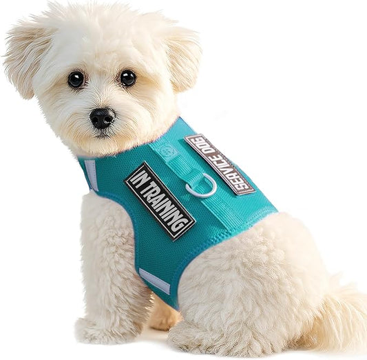 Dog Harness for Puppy – Adjustable Reflective Easy Put On Soft Mesh Vest for Small Dogs with 2 Patches (MARRS Green,S)