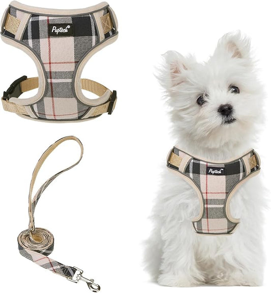 PUPTECK Small Dog Harness and Leash Set, No Pull Adjustable Puppy Cat Harness, Reflective Soft Mesh Pet Vest Small Sized