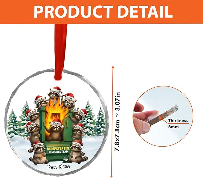 NAZENTI Personalized Funny Raccoon Chaos Response Ornament, Custom Flaming Bin Holiday Decoration, Coworker Christmas Glass Hanging Gift