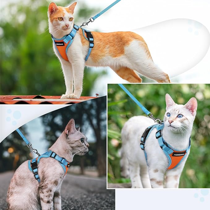 rabbitgoo Cat Harness and Leash Set, Escape Proof Soft Adjustable Vest Harnesses for Outdoor Walking, Easy Control Breathable Kitten Jacket with Reflective Strips, Orange & Light Blue, XXS