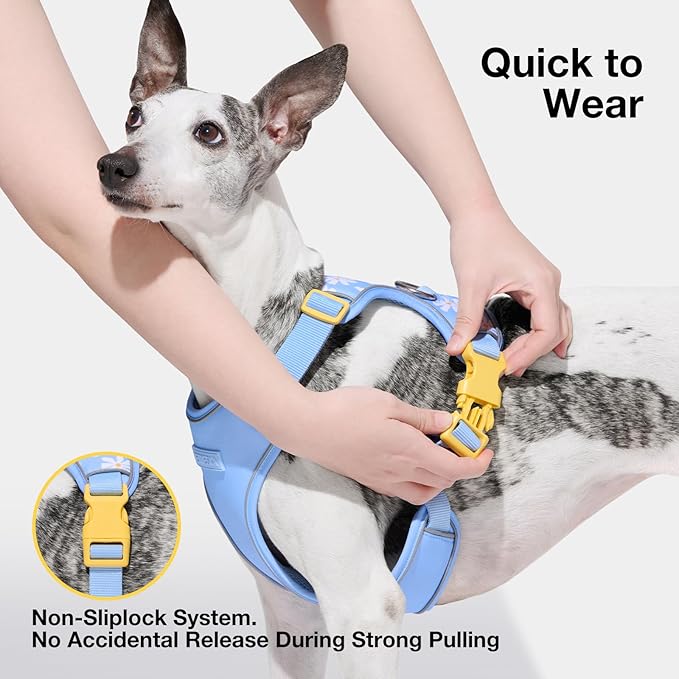 VETRESKA Dog Harness for Small Medium Dogs No Pull, Puppy Harness and Leash Set Adjustable Reflective No Choke Pet Vest Easy Control Harness for Dogs/Cats with Anti-Tangle Dog Leash, Daisy S