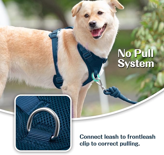 No Pull Dog Harness for Small Medium Large Dogs - Adjustable Two-Layer Mesh Dog Vest with Dual Clip, Escape Proof, Quick Release, Lightweight Breathable Mesh for Walking Hiking (Prussian Blue,XL)