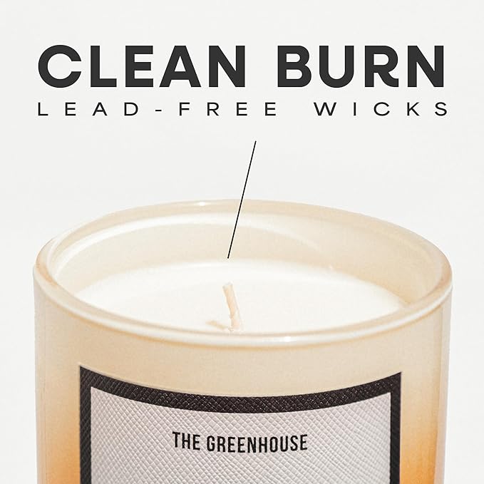 Ginger & White Musk Soy Candle, 12oz Natural Soy Wax Non Toxic, 75 Hours Burn Time,Clean Burn, Aromatherapy Candles for Home Scented, Stress Relief, Meditation, Yoga & Relaxation