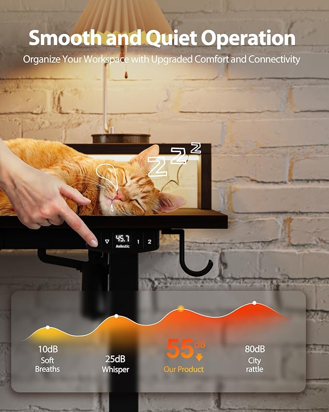 Electric Height Adjustable Standing Desk with Power Outlet and LED Light Strip, Sit to Stand, Ergonomic 48x24" Rising Desk with Memory Presets, Home Office Workstation, Computer Gaming Table, Brown