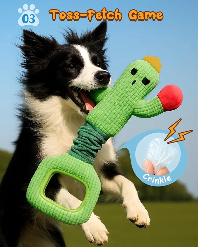 Swooflia Tug of War Dog Toy-Squeaky Plush Tug a War Dog Toy for Medium Large Breed Dogs to Keep Them Busy, Interactive Crinkle Doggie Toy, Cute Cactus with Soft Long Pull Handle
