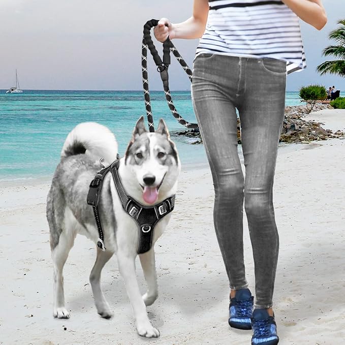 BARKBAY No Pull Dog Harness Large Reflective Dog Harness with Front Clip and Easy Control Handle for Walking Training Running with ID tag Pocket(Black,XL)