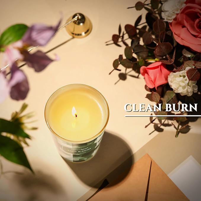 HomeLights Scented Candles for Women & Men, 6.7oz Candle Jars Aromatherapy Single Wick Candle, Ideal for Scandinavian Minimalist Design Home Decor and Gifts, Sage & Moss