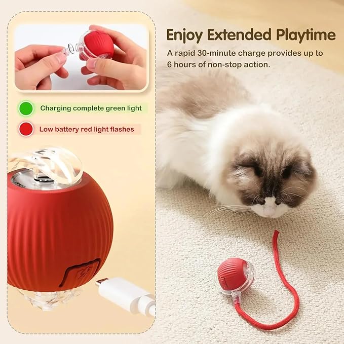 Cat/Dog Interactive Ball - Rechargeable, Motion Chase Toy, Self-Moving Kitten Toy for Indoor Playing, Fast on Carpet