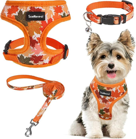 SCENEREAL Fall Dog Harness Collar and Leash Set for Small Dogs, Orange Leaf No Pull Dog Harnesses, Adjustable Step in Pet Vest for Doggie Puppy Cats Walking Outdoor, Chihuahua Yorkie Harness S