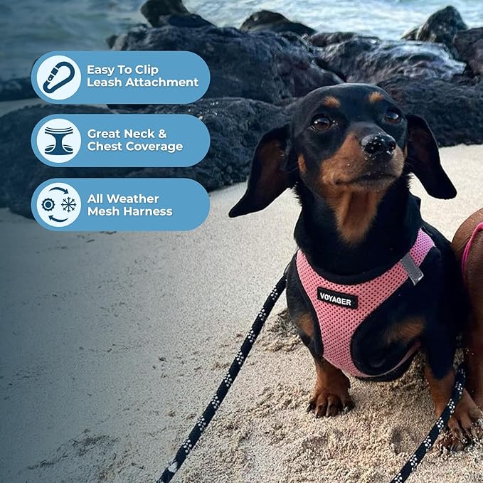 Best Pet Supplies Voyager Step-in Air Harness - All Weather Mesh, Reflective, No Pull Harness for Dogs, Cats - Secure with Hook & Loop Fastener, Buckle, Double D-Rings - Pink/Black Trim, S