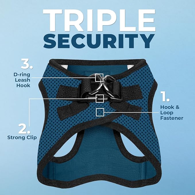 Best Pet Supplies Voyager Step-in Air Harness - All Weather Mesh, Reflective, No Pull Harness for Dogs, Cats - Secure with Hook & Loop Fastener, Buckle, Double D-Rings - Blue/Black Trim, XL