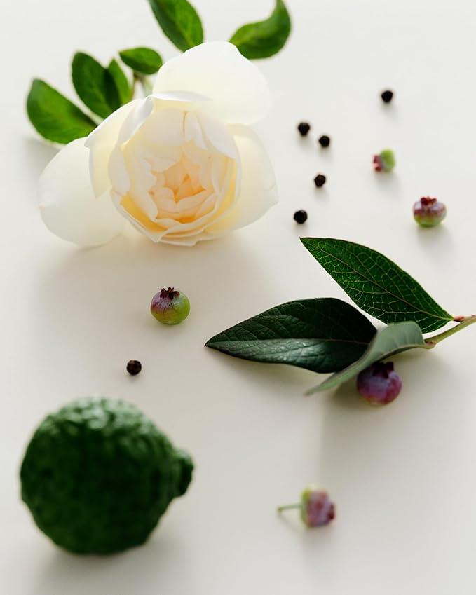 Maison Louis Marie - Antidris Cassis Soy Wax Candle | Luxury Fragrances for a Modern World (8.5 oz | 240 g)