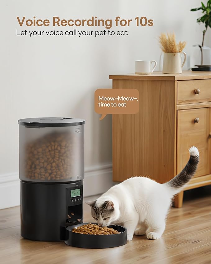 Automatic Cat Feeder Food Dispenser: 6L Timed Small Dog Dry Food Dispenser with 10s Voice - Distributeur Nourriture Chat Hund Programmable - Auto Pet Feeder with 1-6 Meals Black
