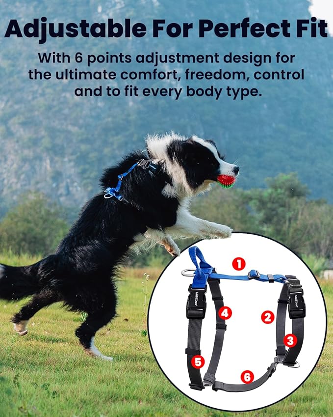 Non-Restrictive Dog Harness Medium Sized Dog, Easy Walk Freedom No Pull Harness, Keep Balance, Neck-Buckle, Six Points Adjustment, 2 Leash Clips for Back/Front Clip, Blue/Black