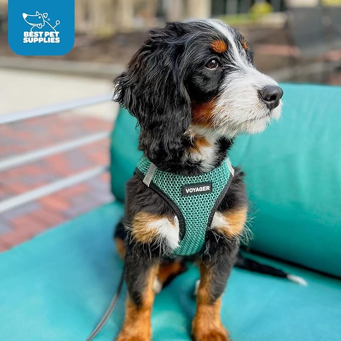 Best Pet Supplies Voyager Step-in Air Harness - All Weather Mesh, Reflective, No Pull Harness for Dogs, Cats - Secure with Hook & Loop Fastener, Buckle, Double D-Rings - Tone, L