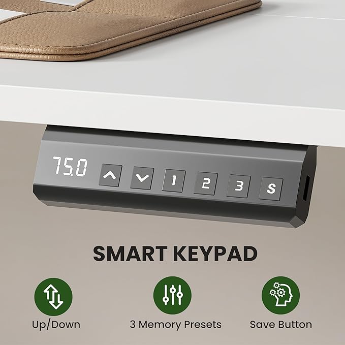 Casaphoria 40 x 24 inches Electric Standing Desk, Sit to Stand Desk with Memory Height Adjustment, Home Office Computer Desk for Writing and Games, White