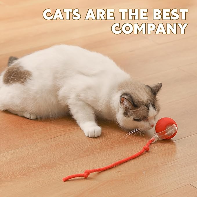 Chewie Viral 360 Smart Automatic Rolling Pet Ball - Interactive Dog & Cat Toy (Red)