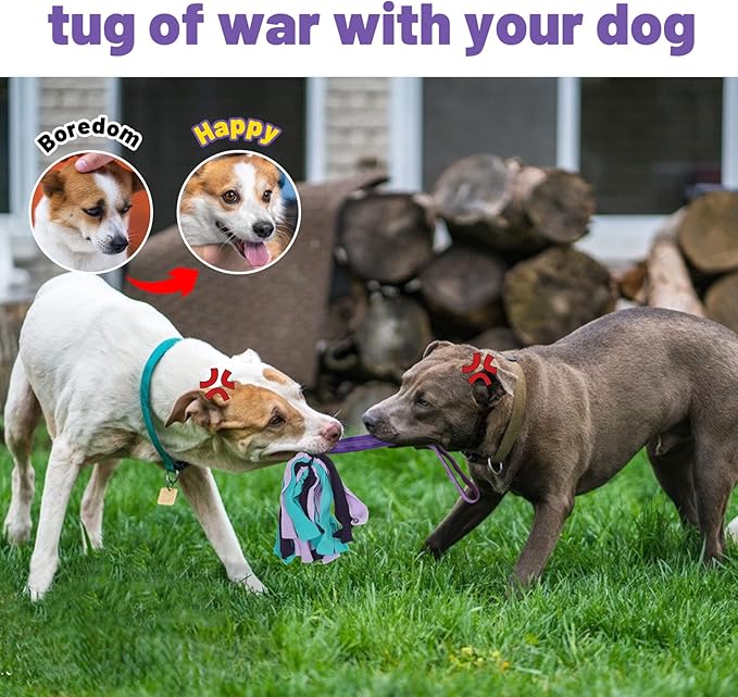 wodoca Interactive Dog Toys, Dog Rope Toys for Aggressive Chewers -Tough Rope Tug of War Dog Toys, Dog Tug Toy for Boredom for Small Medium Puppy Interacting Games (Purple)