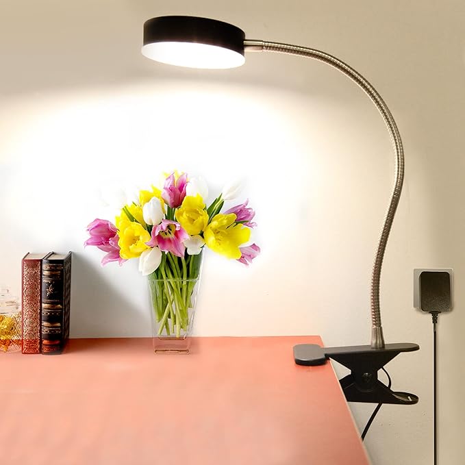 Clip-On LED Desk Lamp with Switch, 19.25” Flexible Gooseneck, 4.5W 260LM 4000K Cool White Clamp Desktop Light, 65” Cord Small Desk Light for Home, Office, Study, ETL Listed