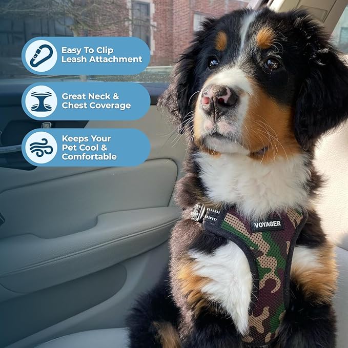 Best Pet Supplies Voyager Adjustable Dog Harness Leash Set with Reflective Stripes for Walking Heavy-Duty Full Body No Pull Vest with Leash D-Ring, Breathable All-Weather - Army Base, M