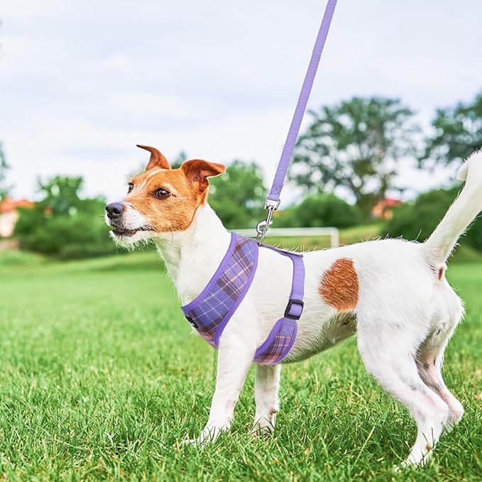 SCENEREAL Puppy Dog Harness with Leash Set for Small Medium Sized Dogs, Soft Mesh Step in Pet Harnesses and Leash, No Chock Plaid Adjustible No Pull Vest for Dogs Cats, Chihuahua,Bulldog (Purple S)