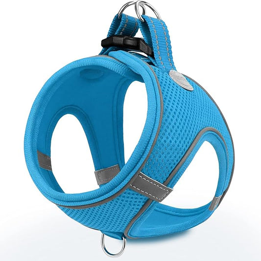 Joytale Small Dog Harness, Breathable Mesh Step-in Vest, Reflective Soft Padded Harnesses for Small and Medium Dogs, Sky Blue, L