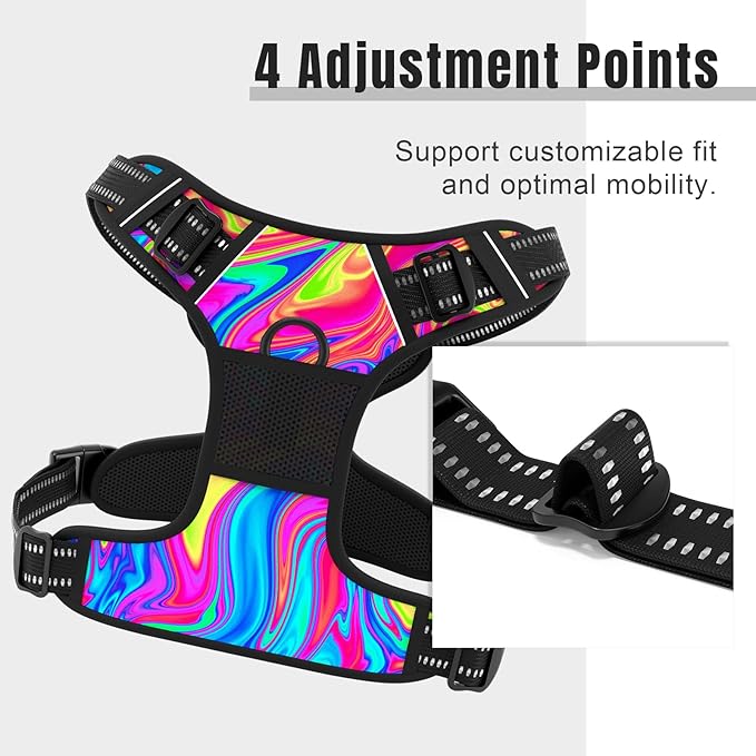 Rnivvi No Pull Dog Harness, Cute Reflective Small Sized Puppy Kitten Harness, Adjustable Soft Padded Vest for Small Dogs, Cats, Heavy Duty Pet Vest with Easy Control Handle for Walking, Rainbow Art
