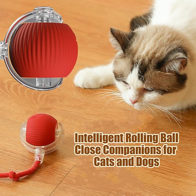 2PC Interactive Cat Toys,360 ° Fully Automatic Dogs & Cats Smart Rolling Ball,Durable and Rechargeable(Green+Red)
