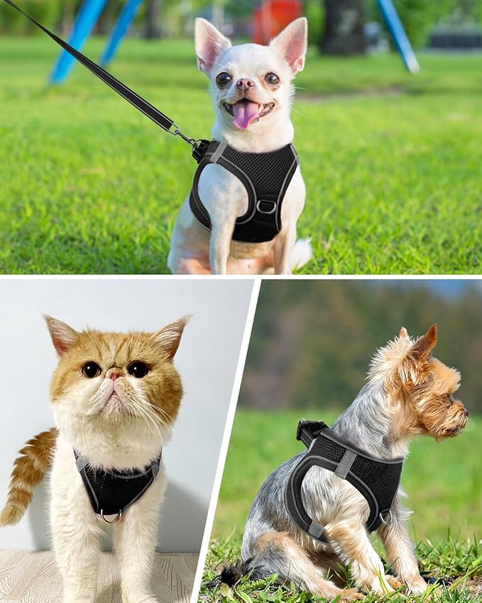 Joytale Small Dog Harness, Breathable Mesh Step-in Vest, Reflective Soft Padded Harnesses for Cats, Puppies and Extra Small Dogs, Black, XXS