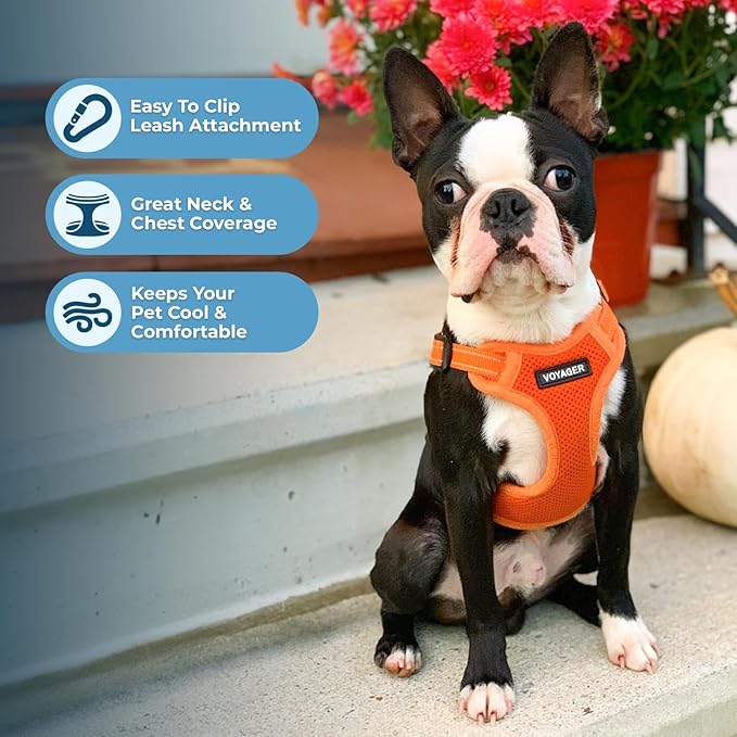 Best Pet Supplies Voyager Adjustable Dog Vest Harness Breathable No Pull Harness for Small, Medium, Large Dogs, Harness for Walking, Jogging, Easy Step-in, Reflective Stripes - Orange, XL