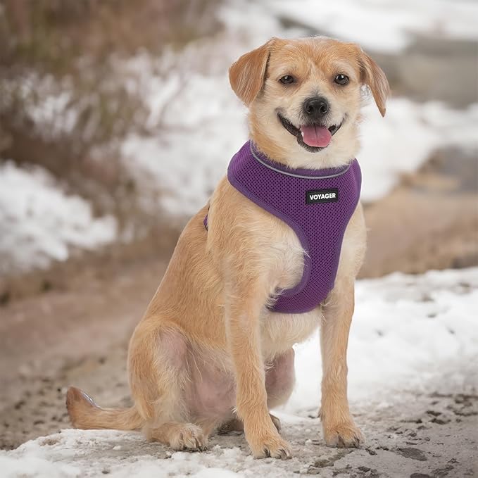 Best Pet Supplies Voyager Aerolite No Pull Mesh Dog Harness, Reflective Stitching, Breathable Harness, Adjustable for Walking, Training, Running, Heavy Duty and Durable, Purple, S