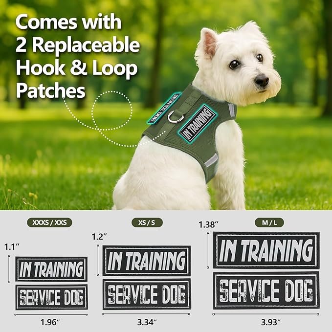 Dog Harness for Puppy – Adjustable Reflective Easy Put On Soft Mesh Vest for Small Dogs with 2 Patches (Misty Green,XXS)
