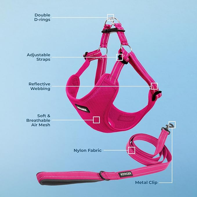 Best Pet Supplies Voyager Adjustable Dog Harness Leash Set with Reflective Stripes for Walking Heavy-Duty Full Body No Pull Vest with Leash D-Ring, Breathable All-Weather - Fuchsia, XS