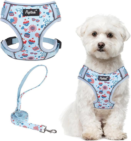 PUPTECK Small Dog Harness and Leash Set, No Pull Adjustable Puppy Cat Harness, Reflective Soft Mesh Pet Vest Small Sized