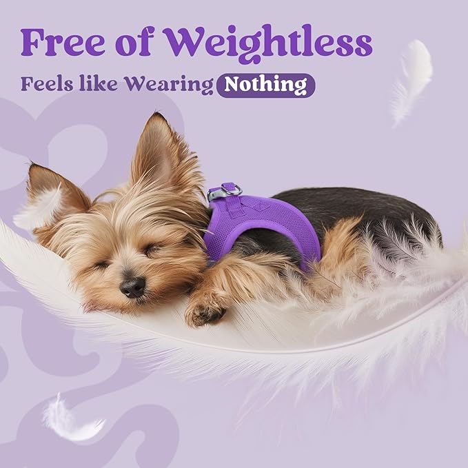 rabbitgoo Small Dog Harness, Step-in Soft Mesh Puppy Vest with Safety Buckle, Breathable Reflective Pet Harness for Small Sized Dogs, Purple M