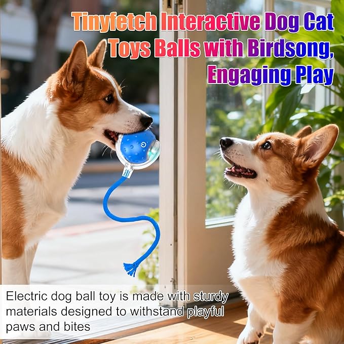 Tiny Fetch Dog Toy, Tinyfetch Interactive Dog Cat Toys Balls with Birdsong, 360° Smart Automatic Rolling Electric Dog Ball Toy, Fast Moving Balls Toys for Pets (Blue)