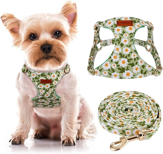 CHEDE No-Pull Floral Pattern Dog Harness - Lightweight and Soft, Adjustable for Small and Medium Dogs (XS, Green Daisy)