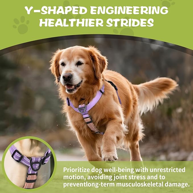 No-Pull Harness,Y-Shaped Design,Buckle-Neck Balance Harness with Reflective Stitching, Ideal for Dog Training and Night Walking, Padded Handle, Durable High-Tensile Nylon-Pink-M