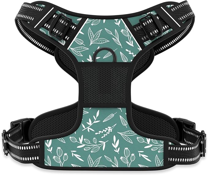 Rnivvi No Pull Dog Harness, Cute Reflective X-Large Sized Puppy Harness, Adjustable Soft Padded Vest for Large Dogs, Heavy Duty Pet Vest with Easy Control Handle for Walking Training, Green Leaves