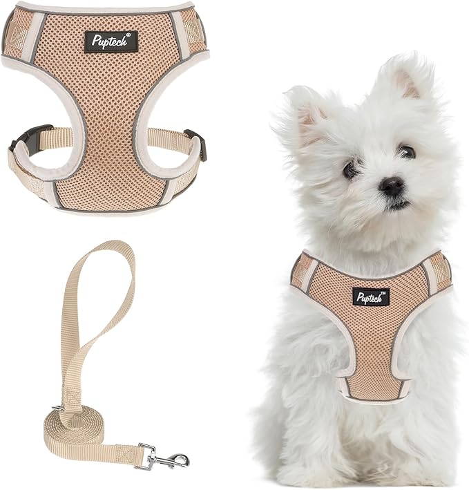 PUPTECK Small Dog Harness and Leash Set, No Pull Adjustable Puppy Cat Harness, Reflective Soft Mesh Pet Vest Small Sized