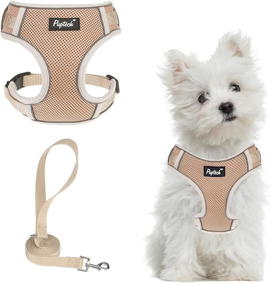 PUPTECK Small Dog Harness and Leash Set, No Pull Adjustable Puppy Cat Harness, Reflective Soft Mesh Pet Vest Small Sized