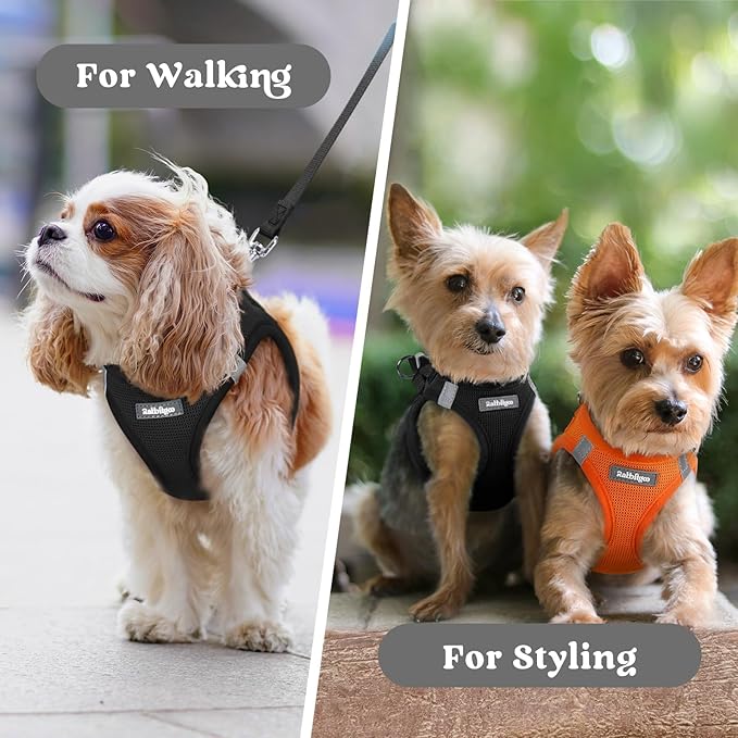 rabbitgoo Small Dog Harness, Step-in Soft Mesh Puppy Vest with Safety Buckle, Breathable Reflective Pet Harness for Extra Small Dogs, Black XXXS