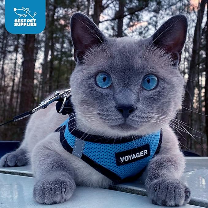 Best Pet Supplies Voyager Step-in Air Harness - All Weather Mesh, Reflective, No Pull Harness for Dogs, Cats - Secure with Hook & Loop Fastener, Buckle, Double D-Rings - Baby Blue/Black Trim, XS