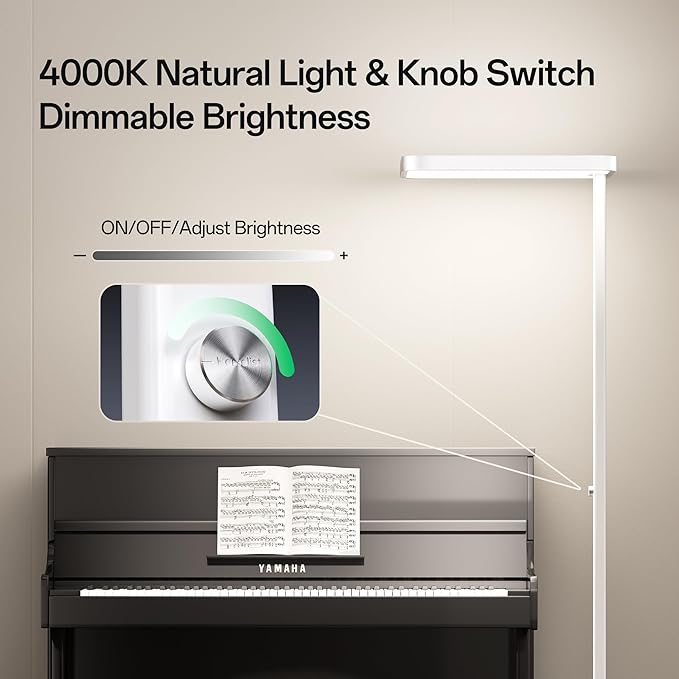 Homelist LH1 Superlight 77'' Floor Lamp, 100W Full-Spectrum Eye-Care Bright Floor Lamp for Reading, Office Work, 9000LM LED Standing Lamp Dimmable, Perfect for Family Living Room, Home Office