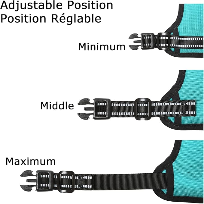 HEELE Dog Harness, No Pull Adjustable Padded Reflective Harness for Small Medium Large Dogs with Handle for Walking Training,Turquoise, M