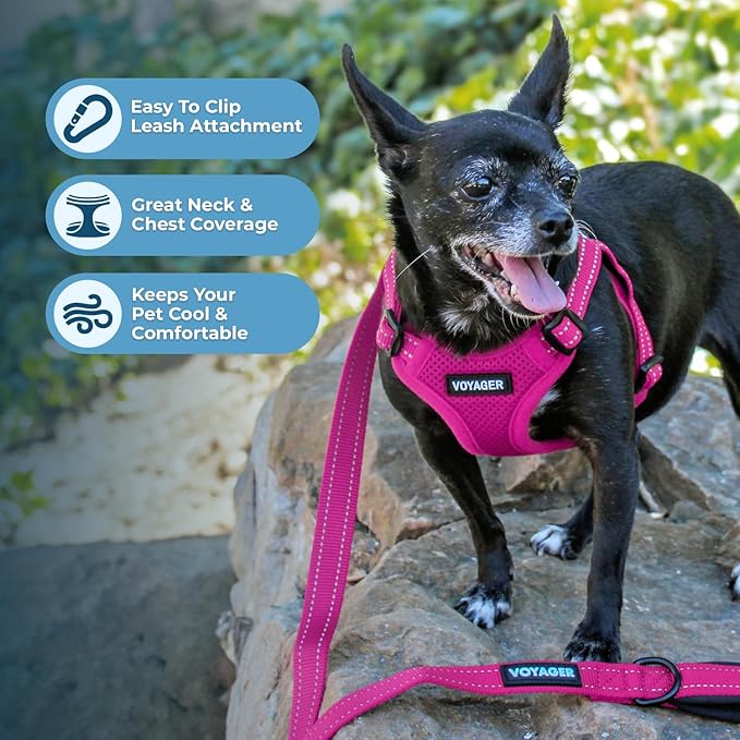 Best Pet Supplies Voyager Adjustable Dog Vest Harness Breathable No Pull Harness for Small, Medium, Large Dogs, Harness for Walking, Jogging, Easy Step-in, Reflective Stripes - Fuchsia, S