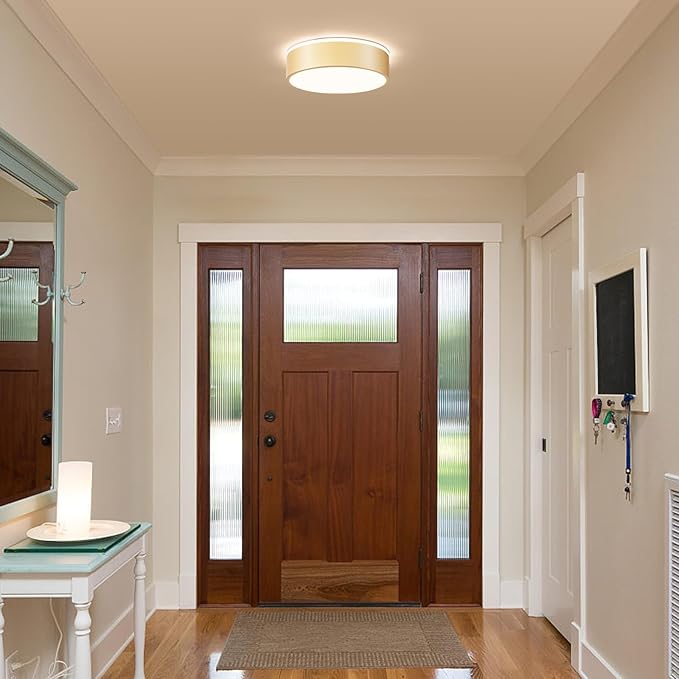 Vikaey Gold LED Ceiling Light, Modern Flush Mount Ceiling Light Fixture, Not Dimmable Minimalist Round Metal Lighting Fixture Ceiling Lamp for Hallway, Entryway, Bedroom, Balcony, 11.81 Inch