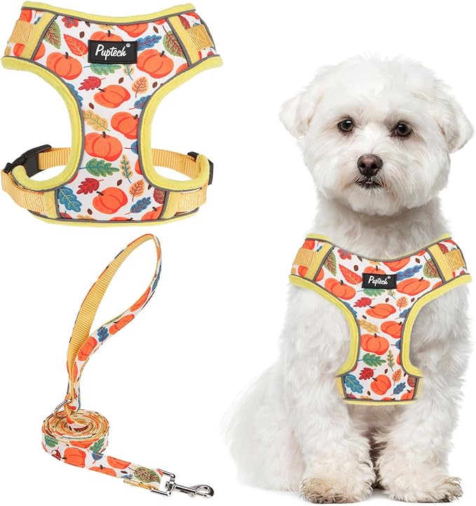 PUPTECK Small Dog Harness and Leash Set, No Pull Adjustable Puppy Cat Harness, Reflective Soft Mesh Pet Vest Small Sized