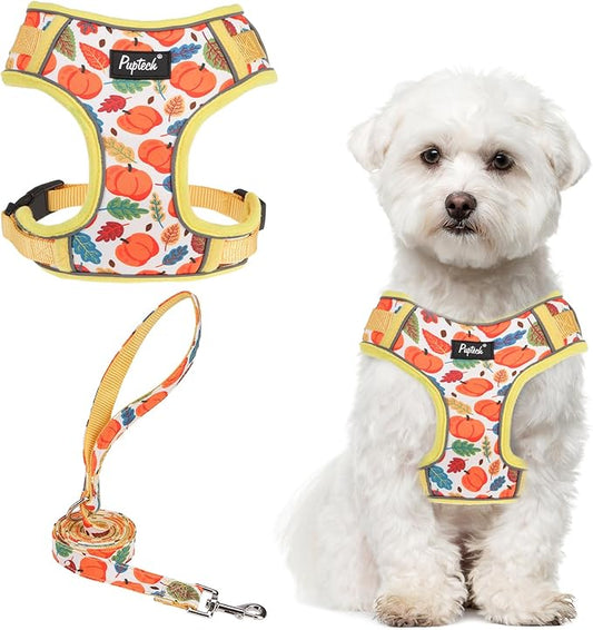 PUPTECK Small Dog Harness and Leash Set, No Pull Adjustable Puppy Cat Harness, Reflective Soft Mesh Pet Vest Small Sized